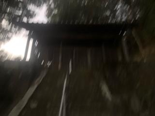熊野神社の参拝記録(深奥(シンオウ)さん)