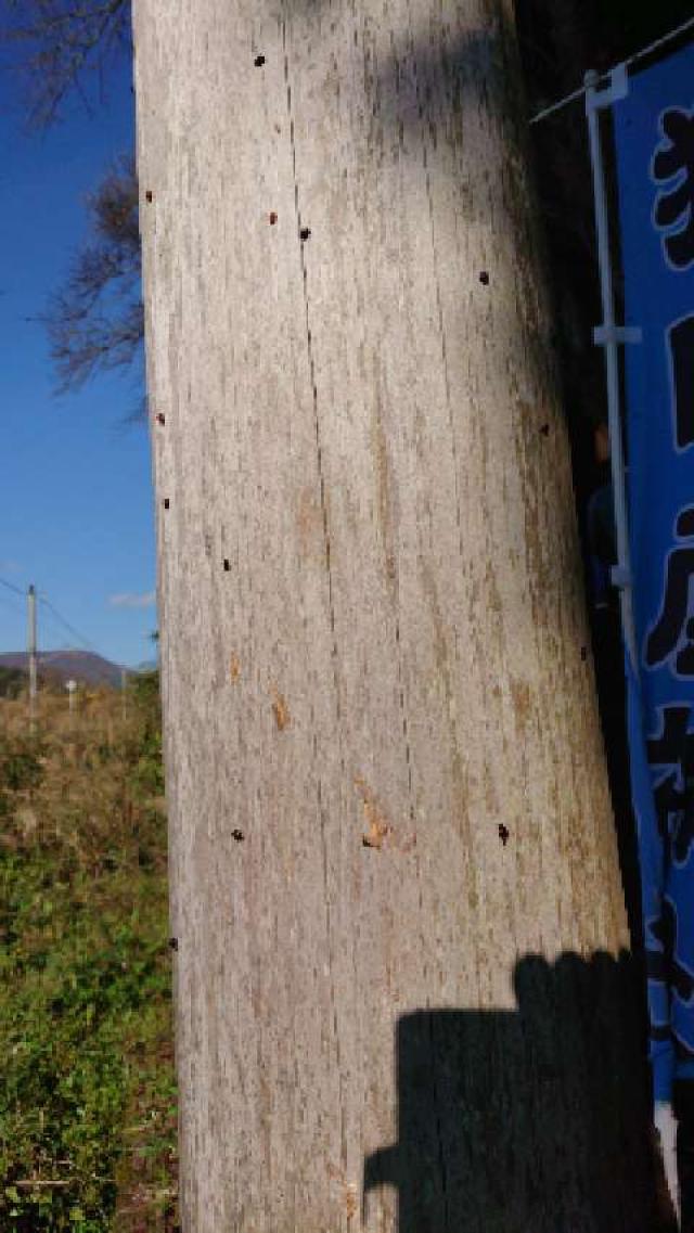 猿田彦神社の参拝記録3