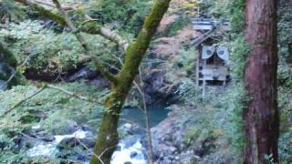 天岩戸神社（元伊勢内宮皇大神社）の参拝記録(天地悠久さん)
