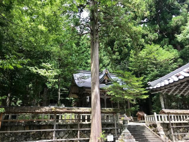 京都府南丹市美山町下宮ノ上12 知位八幡神社の写真1