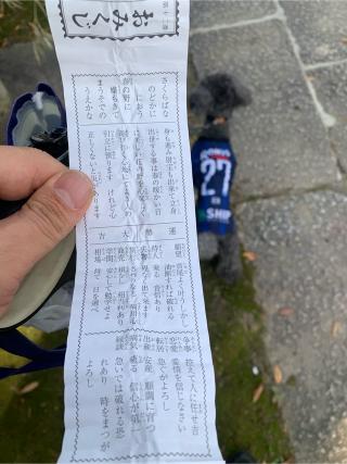 大藤神社の参拝記録(トッシーさん)