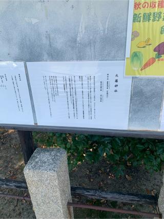 大藤神社の参拝記録(トッシーさん)