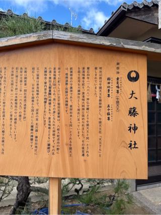 大藤神社の参拝記録(⛩️🎠🐢まめ🐢🎠⛩️さん)