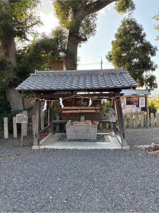 玉田神社の参拝記録(⛩️🐍🐢まめ🐢🐍⛩️さん)