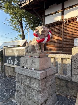 玉田神社の参拝記録(⛩️🐍🐢まめ🐢🐍⛩️さん)