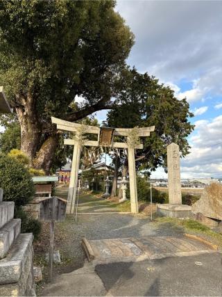 玉田神社の参拝記録(⛩️🐍🐢まめ🐢🐍⛩️さん)