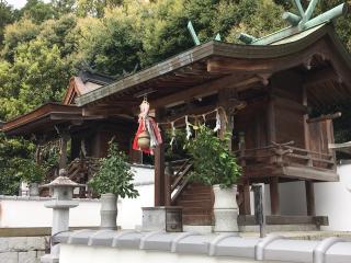 稲植神社の参拝記録(すったもんださん)