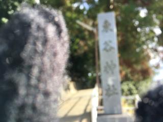 東谷神社の参拝記録(すったもんださん)