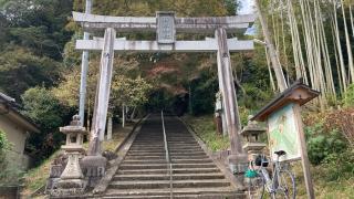 鞍岡神社の参拝記録(すったもんださん)