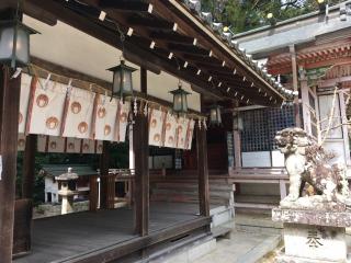 和伎坐天乃夫岐賣神社(涌出宮)の参拝記録(すったもんださん)