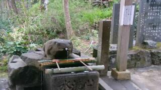 玉津岡神社の参拝記録(ひろさんさん)