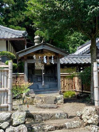 船井神社の参拝記録(さくらさん)