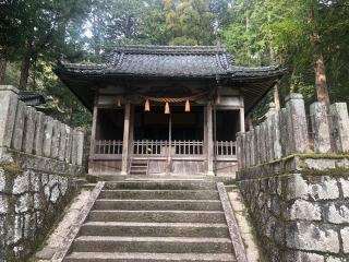 深田神社の参拝記録(深奥(シンオウ)さん)