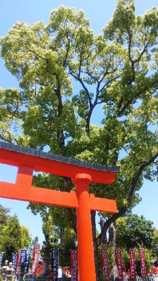 稲荷神社（豊中稲荷神社）の参拝記録(布袋大国さん)
