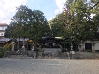 八坂神社の参拝記録(じゃすてぃさん)