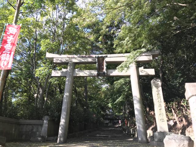 伊居太神社の参拝記録(じゃすてぃさん)
