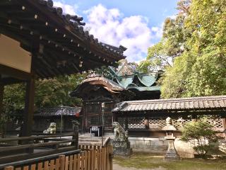 伊居太神社の参拝記録(じゃすてぃさん)