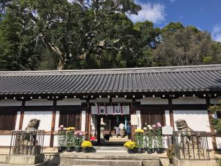 五社神社の参拝記録(じゃすてぃさん)