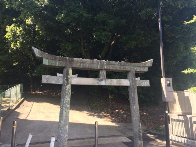 春日神社の参拝記録4