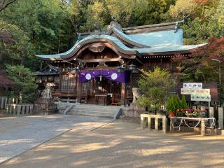 垂水神社の参拝記録(イッキーさん)