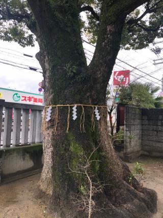 佐奈部神社の参拝記録(mmかずやmmさん)