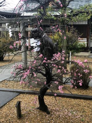 佐奈部神社の参拝記録(mmかずやmmさん)