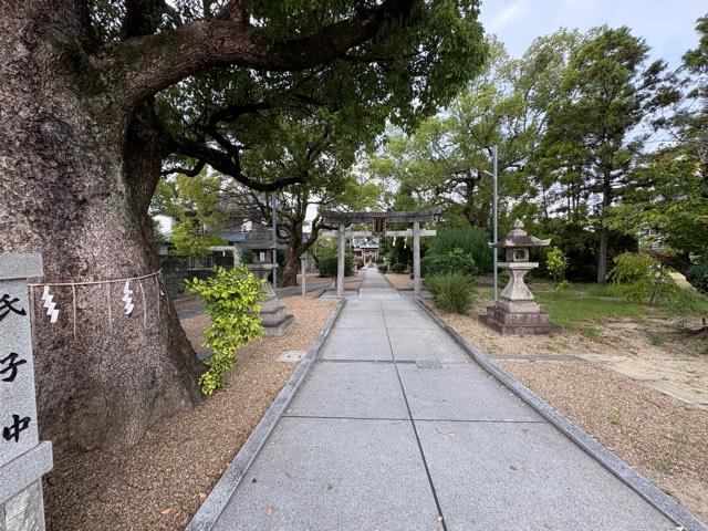 大阪府茨木市稲葉町12-26 佐奈部神社の写真3