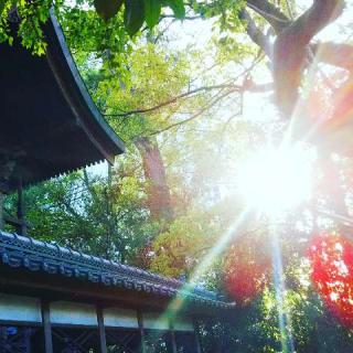 佐和良義神社の参拝記録(未来龍さん)