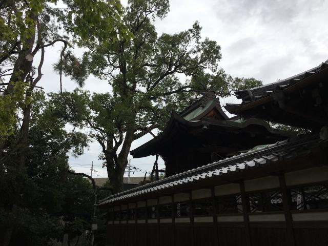 佐和良義神社の参拝記録6