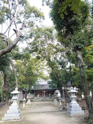 新屋坐天照御魂神社(西川原)の参拝記録(かいちゃんさん)