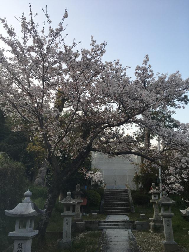 八阪神社の参拝記録2