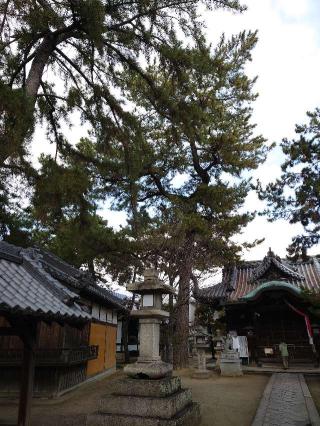 溝咋神社の参拝記録(かいちゃんさん)