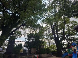 藤森神社の参拝記録(かいちゃんさん)