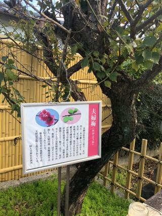 阿久刀神社の参拝記録(mmかずやmmさん)
