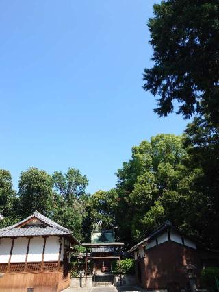春日神社の参拝記録(かいちゃんさん)