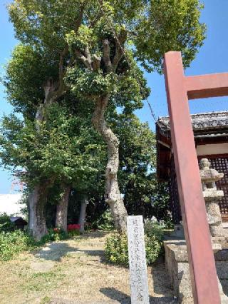 冠須賀神社の参拝記録(かいちゃんさん)