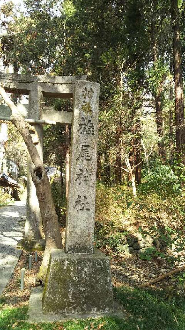 大阪府島本町山崎５−１０４９ 椎尾神社の写真3
