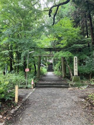 椎尾神社の参拝記録(てつやさん)