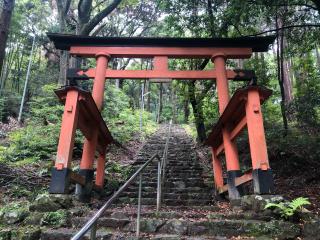 若山神社の参拝記録(あきちゃんさん)