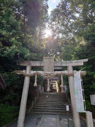 蹉跎神社の参拝記録(かいちゃんさん)