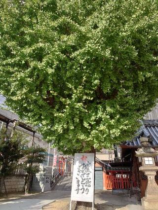 住吉神社の参拝記録(かいちゃんさん)