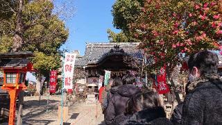 大利神社の参拝記録(まふふさん)