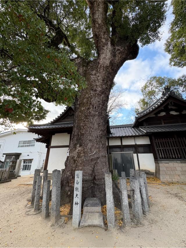 大阪府寝屋川市堀溝2-12-20 鶯関神社の写真7