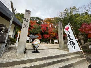 四條畷神社の参拝記録(マコトさん)