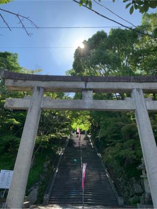 四條畷神社の参拝記録(はまちゃんさん)