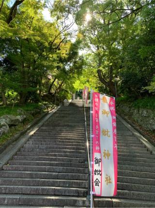四條畷神社の参拝記録(はまちゃんさん)