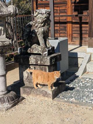 南條神社の参拝記録(たこやきさん)