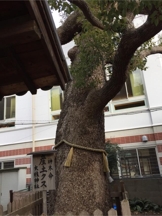 大阪府守口市大枝東町2-27 大枝神社の写真3