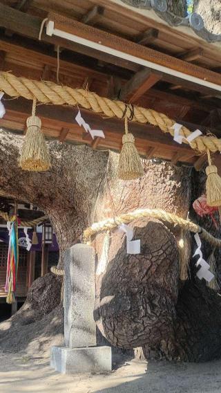 三島神社の参拝記録(布袋大国さん)