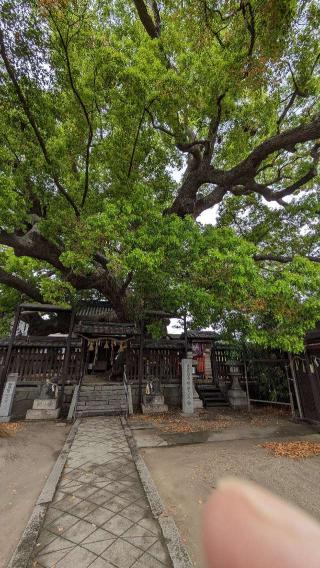 三島神社の参拝記録(たこやきさん)